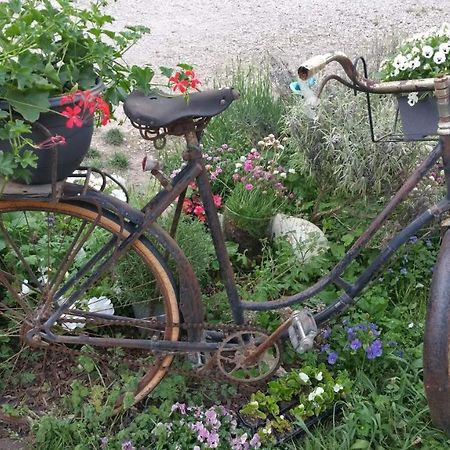 Basse-Cour De Montin Au 256 Chemin De La Rocaille A 38510 Vezeronce Curtin Bed & Breakfast Morestel Exterior photo